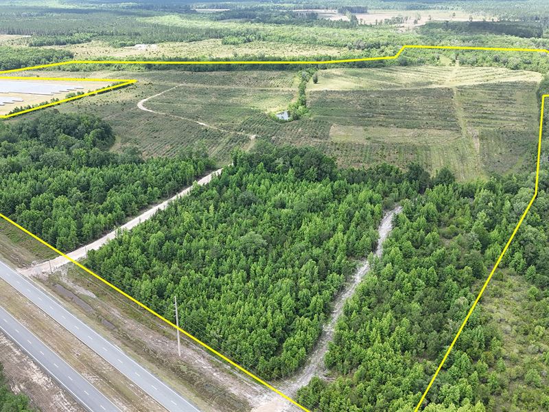 West Glynn Farm Tract 2 : Brunswick : Glynn County : Georgia