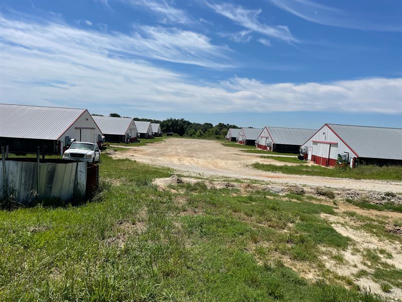 Wayne-Sanderson Farms : Groesbeck : Limestone County : Texas