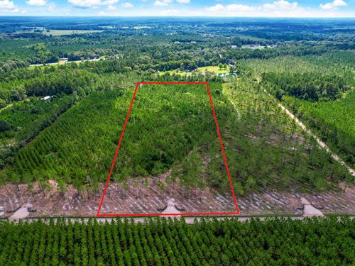 Tranquility in Bay Farms Lot 8 : Hilliard : Nassau County : Florida