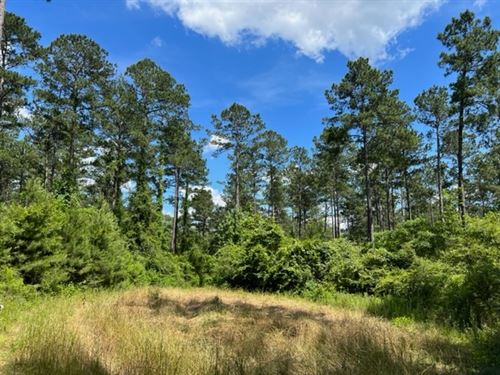 110 Acres Sandy Hook, MS 39647 : Tylertown : Walthall County : Mississippi