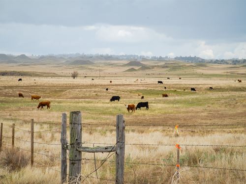 Stone Cabin Ranch : Fort Laramie : Goshen County : Wyoming