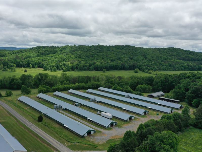Rnc Broiler Farm : Lafayette : Walker County : Alabama