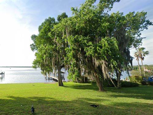 Own 0.22 Florida Acres : Interlachen : Putnam County : Florida