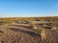 Build Your Future on 0.52 Acre : Deming : Luna County : New Mexico