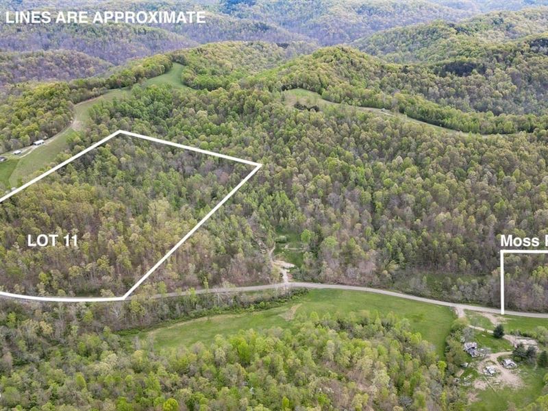 Moss Run Rd Lot 11, 17 Acres, Was : Marietta : Washington County : Ohio