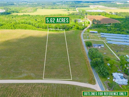 Tract 13, 5.5 Acres on Sellers Rd : Baxley : Appling County : Georgia