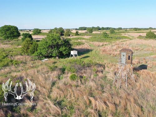 155 Acres M/L, Alfalfa County, OK : Amorita : Alfalfa County : Oklahoma