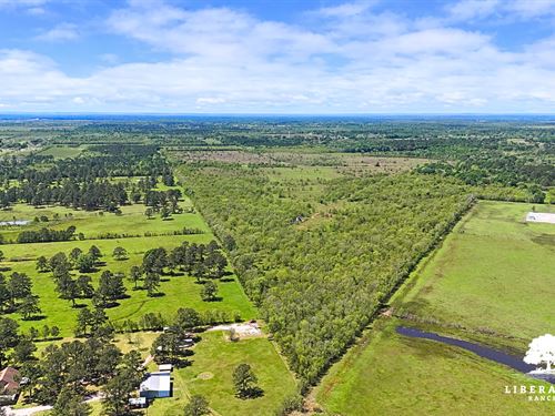 Liberty Tract 2, Only $15K Down : Liberty : Texas