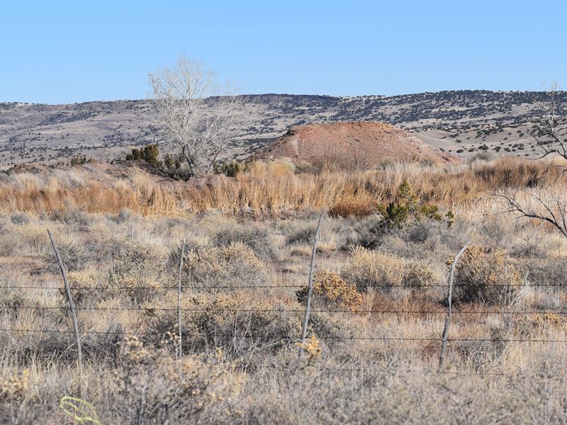 Dream Big Under The Arizona Sky : Saint Johns Unified District : Apache County : Arizona