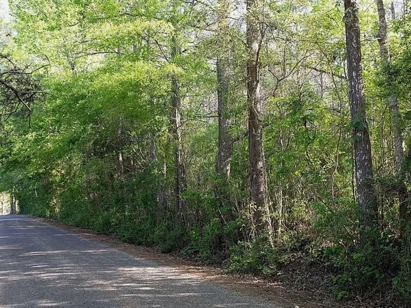 1 Acre Lot for Sale in Lincoln Coun : Ruth : Lincoln County : Mississippi