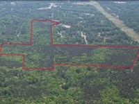 136+/- Acre Investment Opportunity : Douglasville : Douglas County : Georgia