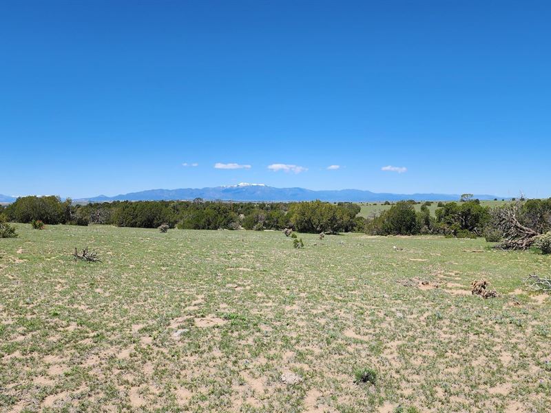 157 Tyrone Hills, Walsenburg, CO 81 : Walsenburg : Huerfano County : Colorado