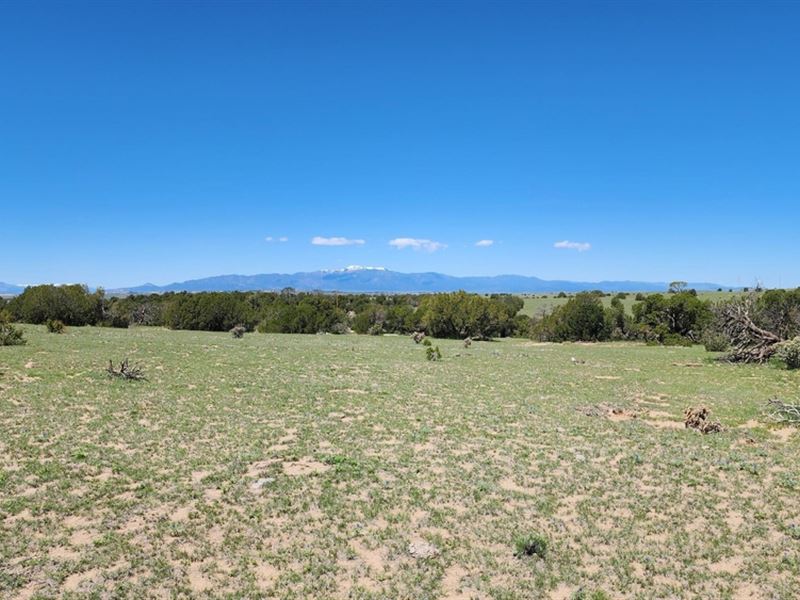 157 Tyrone Hills, Walsenburg, Co 81 : Walsenburg : Huerfano County : Colorado