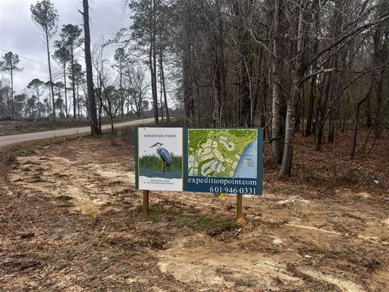 Luxury Lot, Amenities and Views : Madison : Madison County : Mississippi