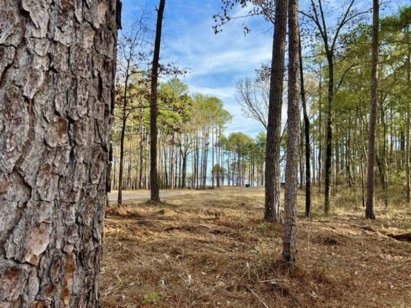 Indulgent Luxury Views, Home Site : Madison : Madison County : Mississippi