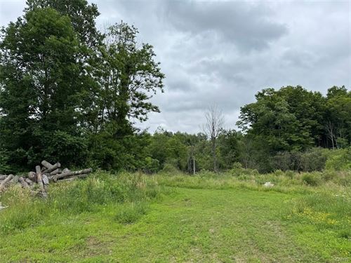 Large Acreage Creek Front Site : Oswego : New York