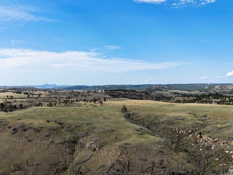 Tower Lookout Ranch : Moorcroft : Crook County : Wyoming