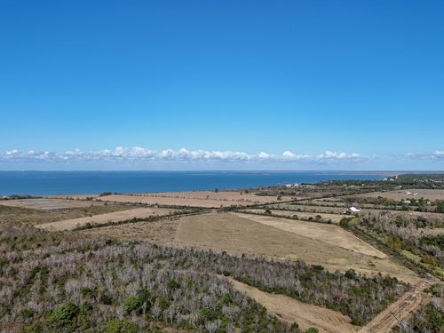 Anahuac Tract 17, Only $15K Down : Anahuac : Chambers County : Texas