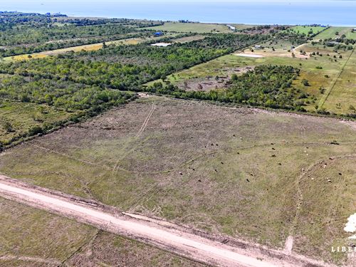 Anahuac Tract 21, Only $15K Down : Anahuac : Chambers County : Texas