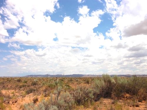 No Restrictions to Explore & Build : Agua Dulce : El Paso County : Texas