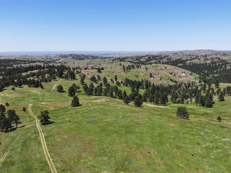 1400 Acres, Dawes County, Pine : Chadron : Dawes County : Nebraska