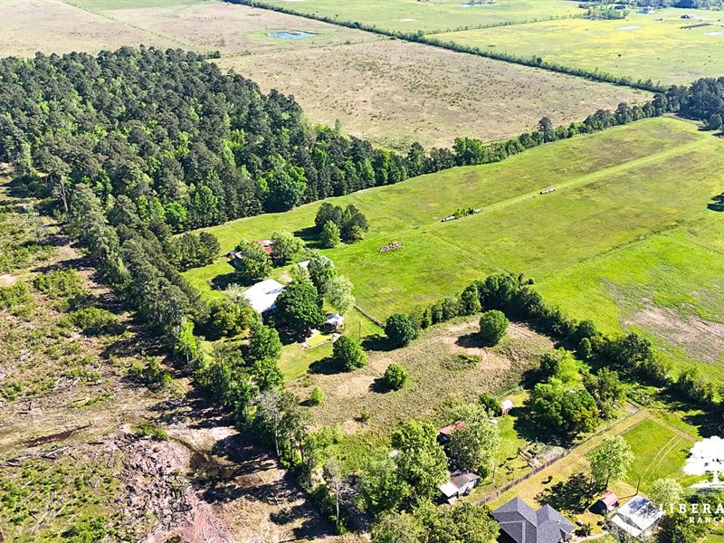 Dayton Tract 1, Only $15K Down : Dayton : Liberty County : Texas