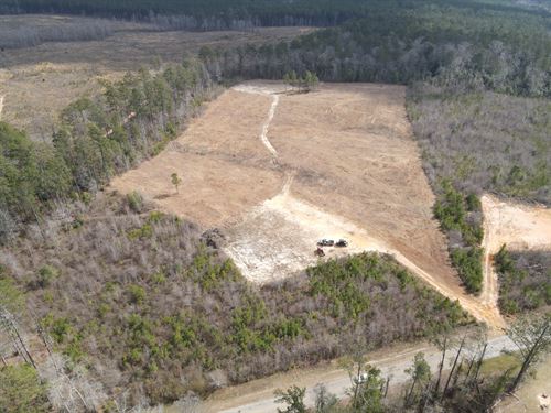 Firetower Road Lot 1 : Greenville : Butler County : Alabama