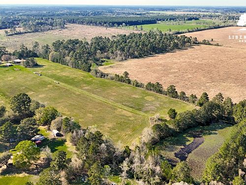 Dayton Tract 3, Only $15K Down : Dayton : Liberty County : Texas