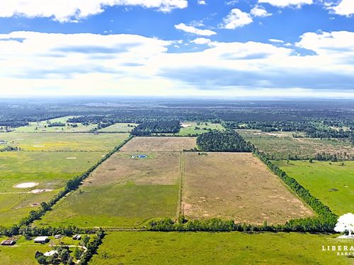 Dayton Tract 10, Only $15K Down : Dayton : Liberty County : Texas