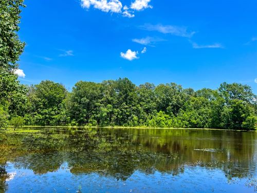 Hinds County-147.5 Acres : Jackson : Hinds County : Mississippi