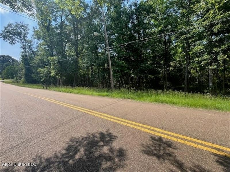 Historic Downtown Brandon Lot : Brandon : Rankin County : Mississippi