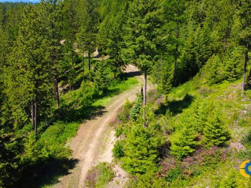 Corona Road Ranch : Plains : Sanders County : Montana