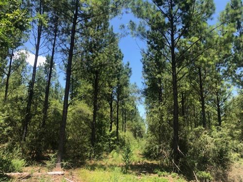 Investment Grade Property : Smithville : Sumter County : Georgia