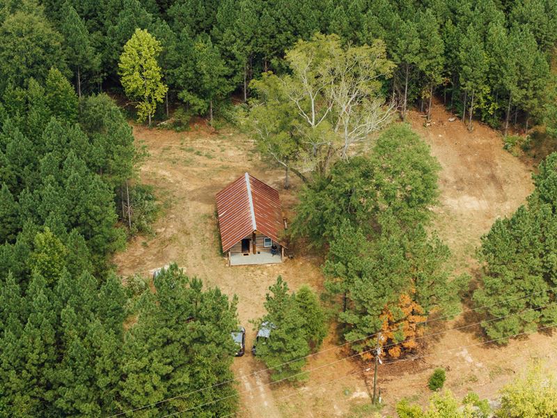 106 Acres with a Cabin in Lamar Cou : Millport : Lamar County : Alabama