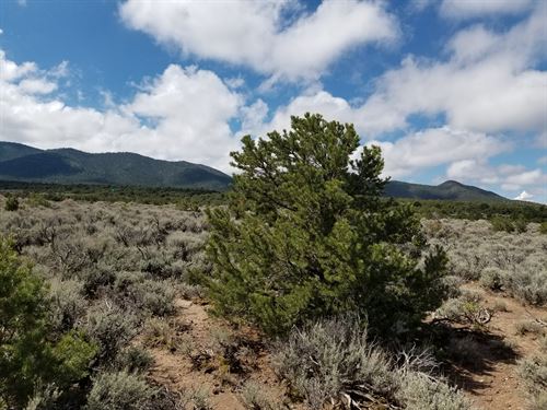 Easy Access to Mountain Views : Fort Garland : Costilla County : Colorado