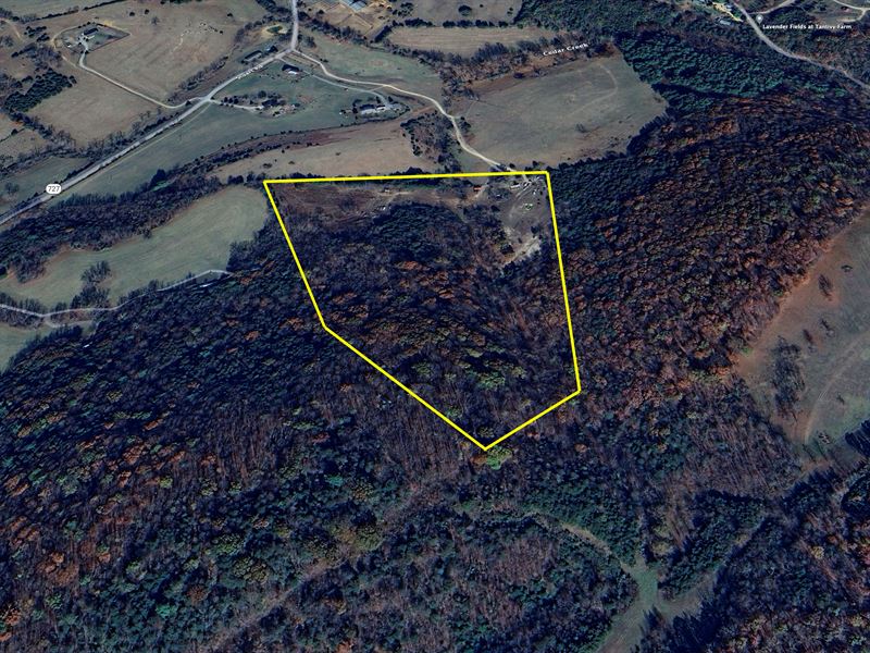 24.48 Acres Fairfield, VA Auction : Fairfiled : Rockbridge County : Virginia
