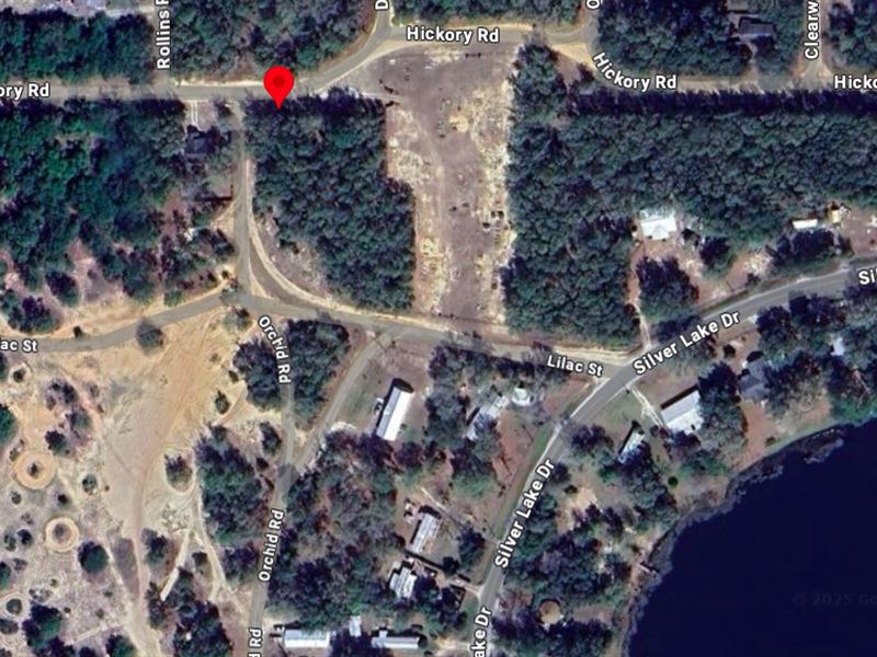 Wooded Lake Life with Power : Interlachen : Putnam County : Florida