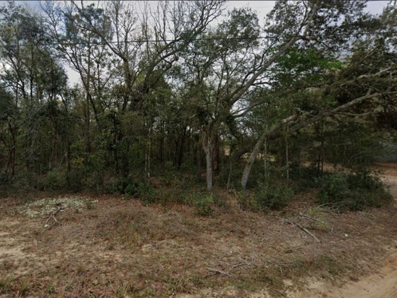 .47 Acres for Lake Life : Interlachen : Putnam County : Florida