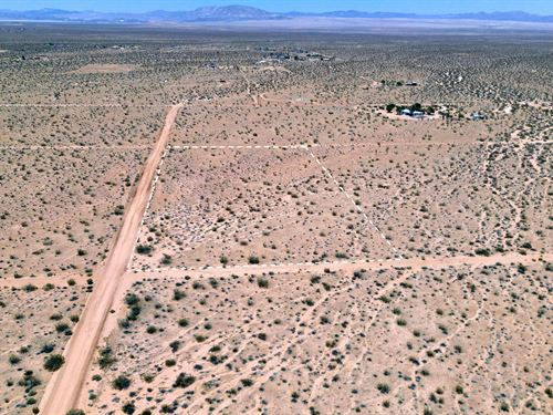 4.2 Acres in Joshua Tree, CA : Joshua Tree : San Bernardino County : California