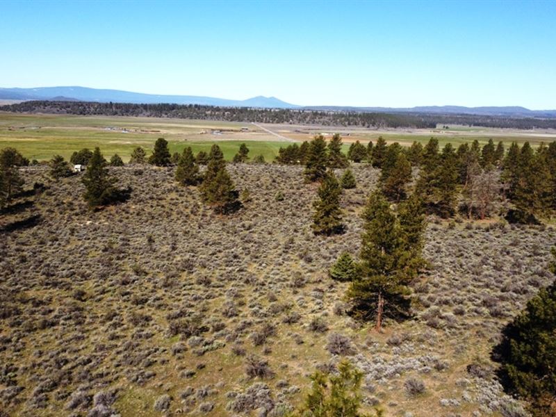 Forested Oregon Property Near Power : Beatty : Klamath County : Oregon