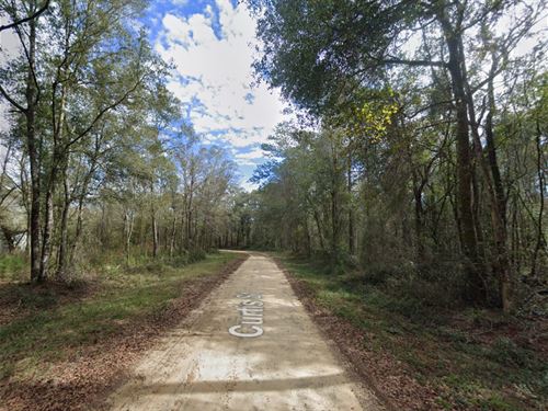 Live The Good Life : Interlachen : Putnam County : Florida