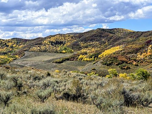 Springer Ranch : Hayden : Routt County : Colorado