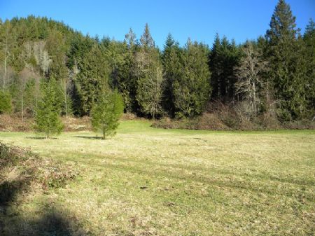 Private 8.5 Acre Home Site : Morton : Lewis County : Washington
