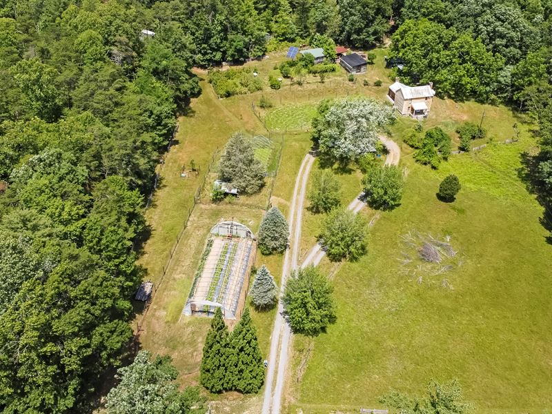 New Price, 60 Ac Prepper Retreat : Goshen : Rockbridge County : Virginia