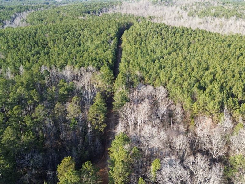 Hornsby Southeast Tract : Hornsby : Hardeman County : Tennessee