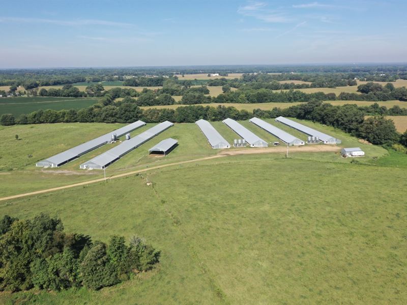 67 Acres in Martin, Tennessee : Martin : Obion County : Tennessee