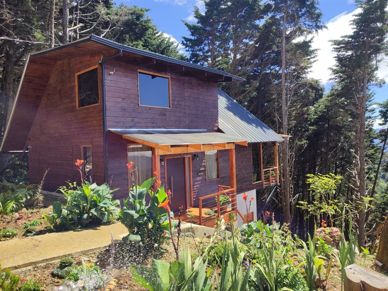 Beautiful Farm for Sale : Entre Tarbaca Y Escazu : Costa Rica