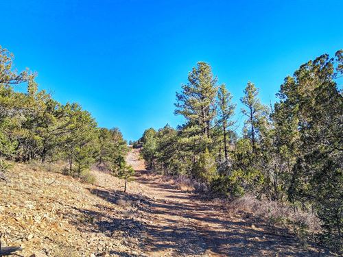 Creek Within Property, Scenic, RV : Timberon : Otero County : New Mexico