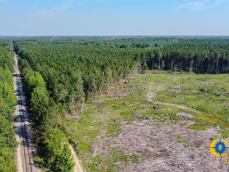 Old Deane Road Tract : Monticello : Drew County : Arkansas