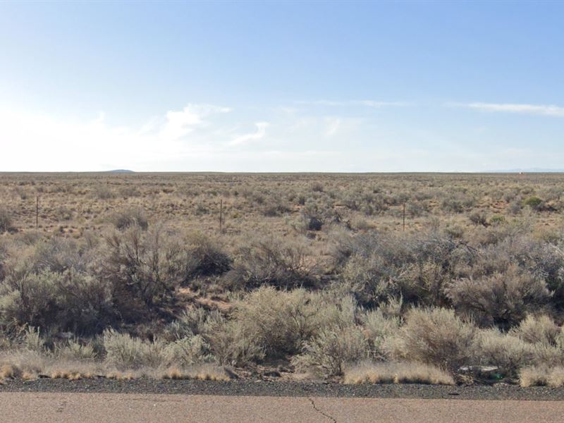 Escape to Your Own Private Oasis : Sanders : Apache County : Arizona
